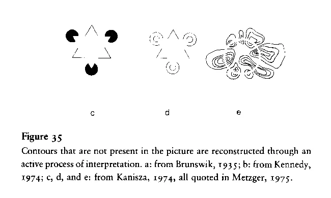 Primary-source scan of Figure 35 from Braitenberg's Vehicles, showing reconstructed contours and its printed caption.